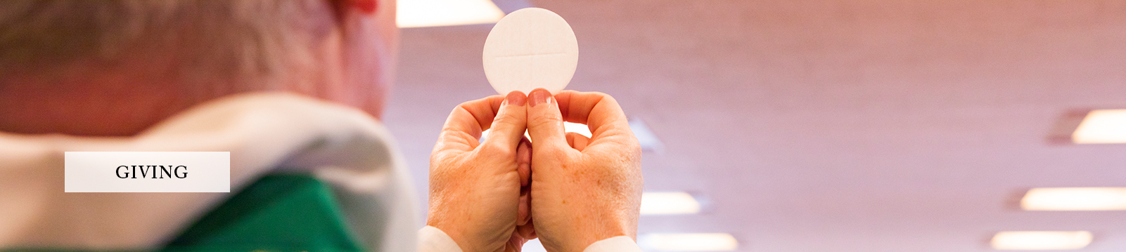 Catholic Family of South Buffalo - Giving